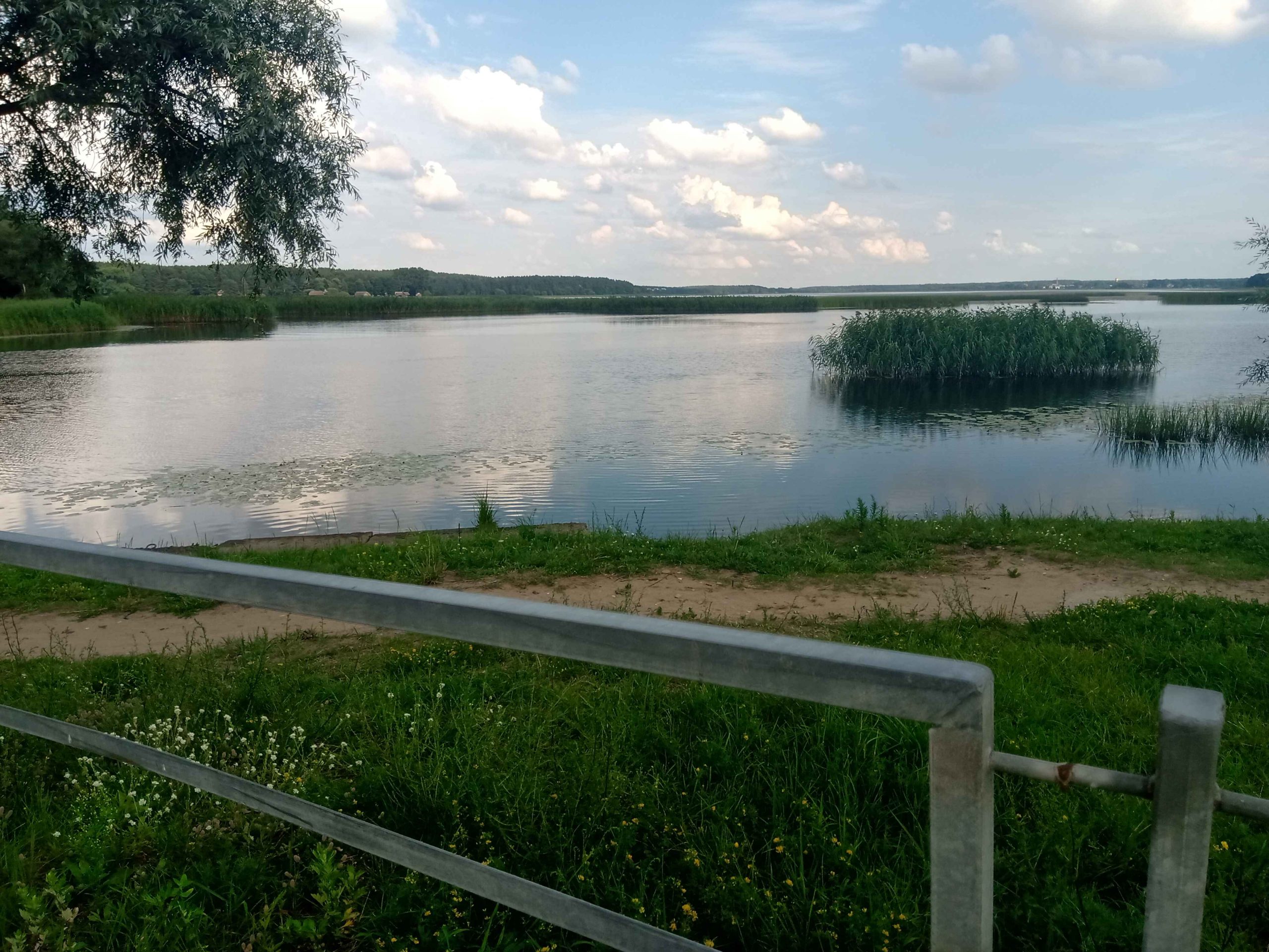 Juglas ezera krastā plosās uguns – aizdomās par niedru aizdedzināšanu tur bērnus