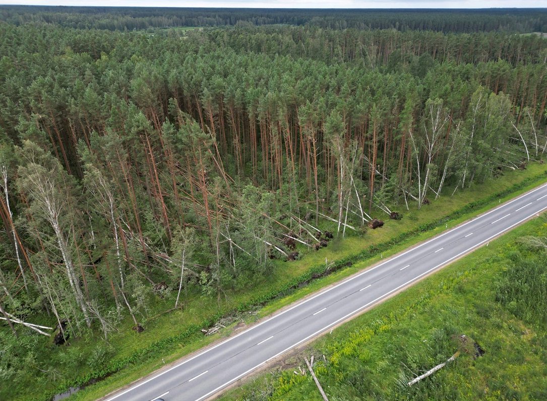 Sensacionāls atradums Polijā: Tūkstošiem gadu vecas rotas un noslēpumains pods mežā