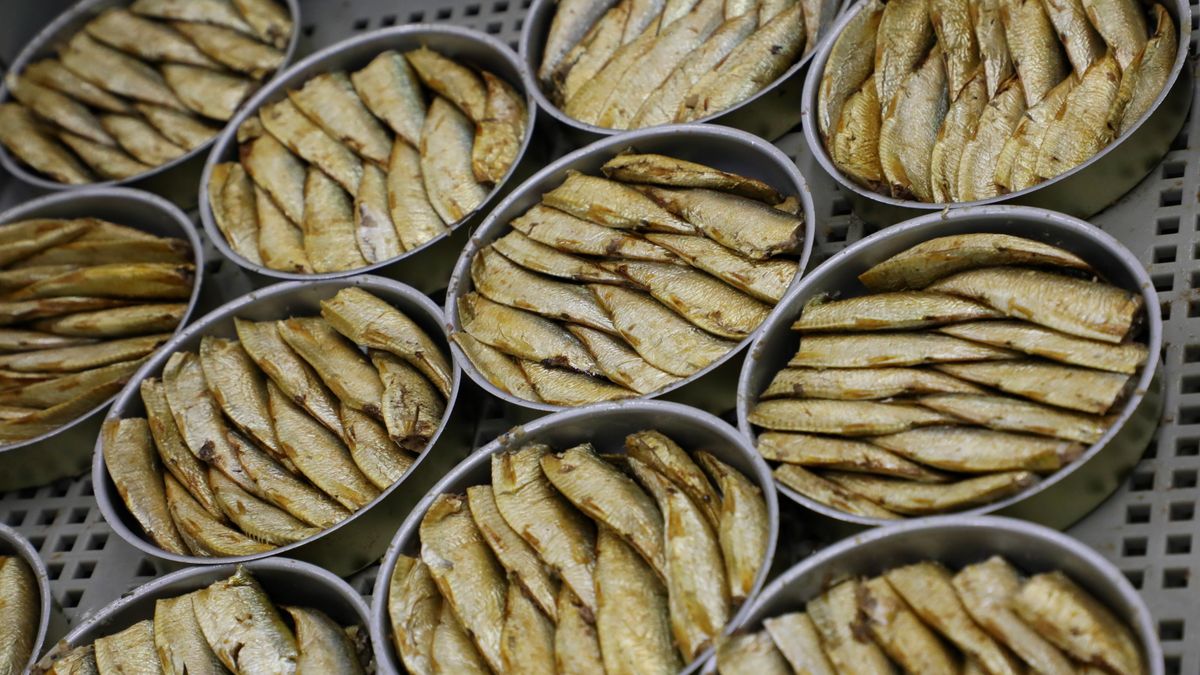 Latvijas Zivrūpniecība Pieprasījuma Bums: Izaicinājumi un Izaugsmes Perspektīvas